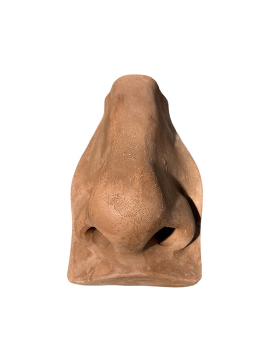 Plaster Nose Of David Brown