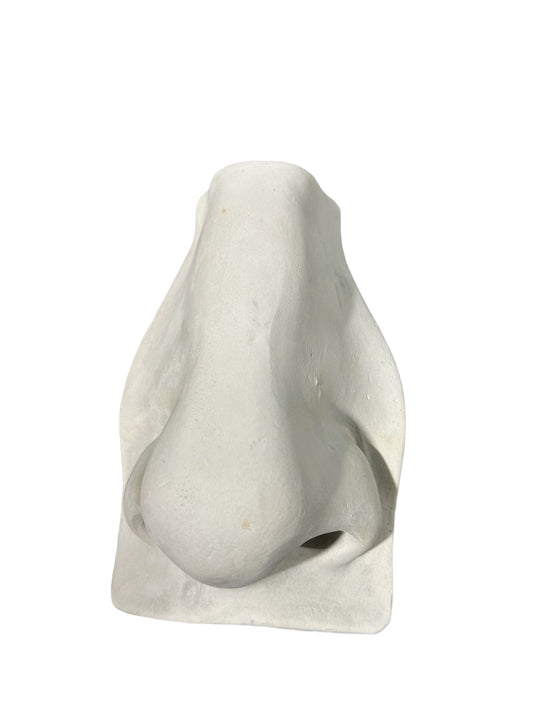 Plaster Nose Of David Gray