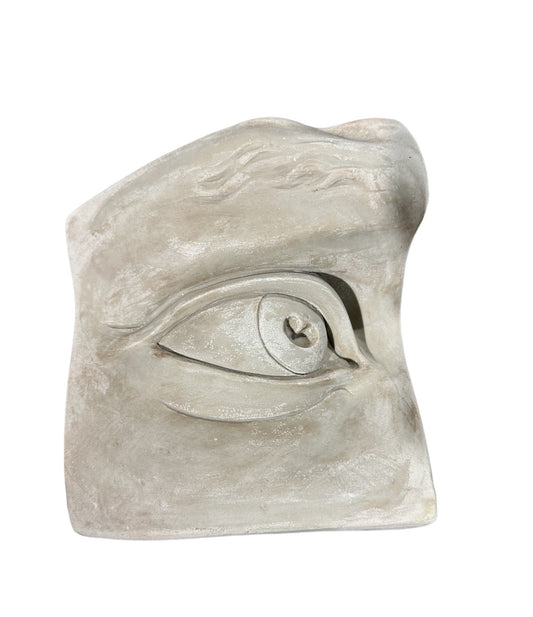 Plaster Eye Of David Gray